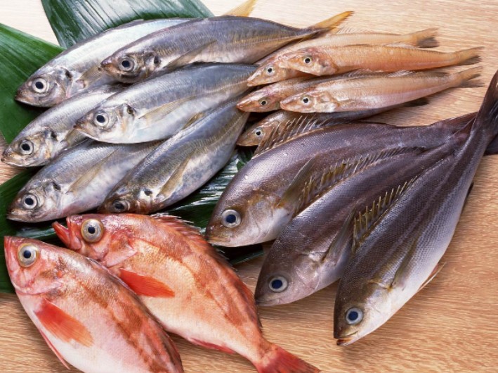 Tips Memilih Ikan Yang Masih Segar